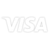 Visa-Logo-2005